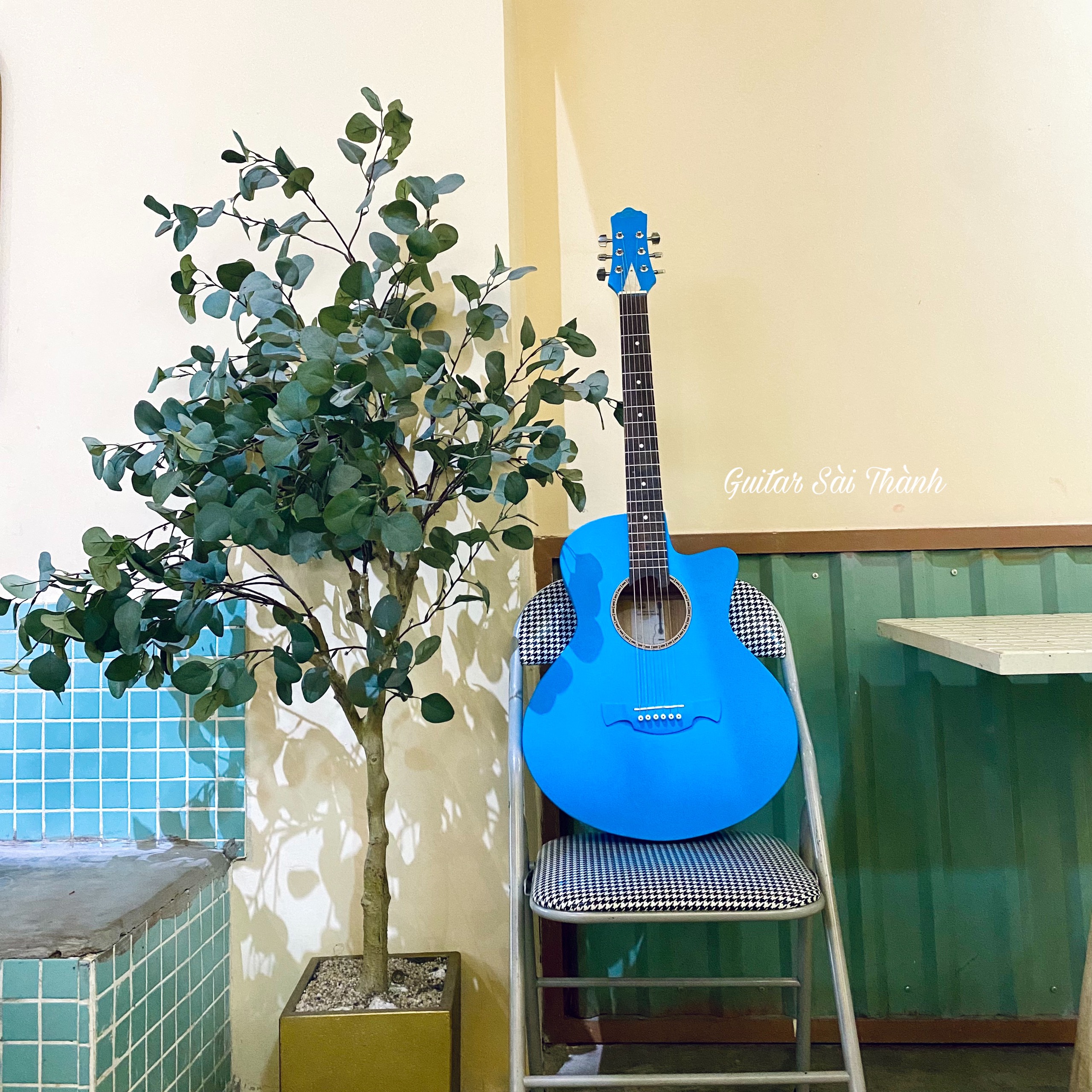 Đàn Guitar Acoustic ST-X1 Bảng Full Màu