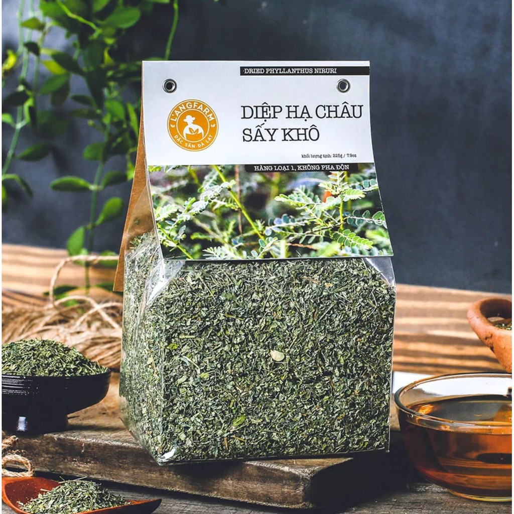 10 tác dụng của cây Diệp hạ châu