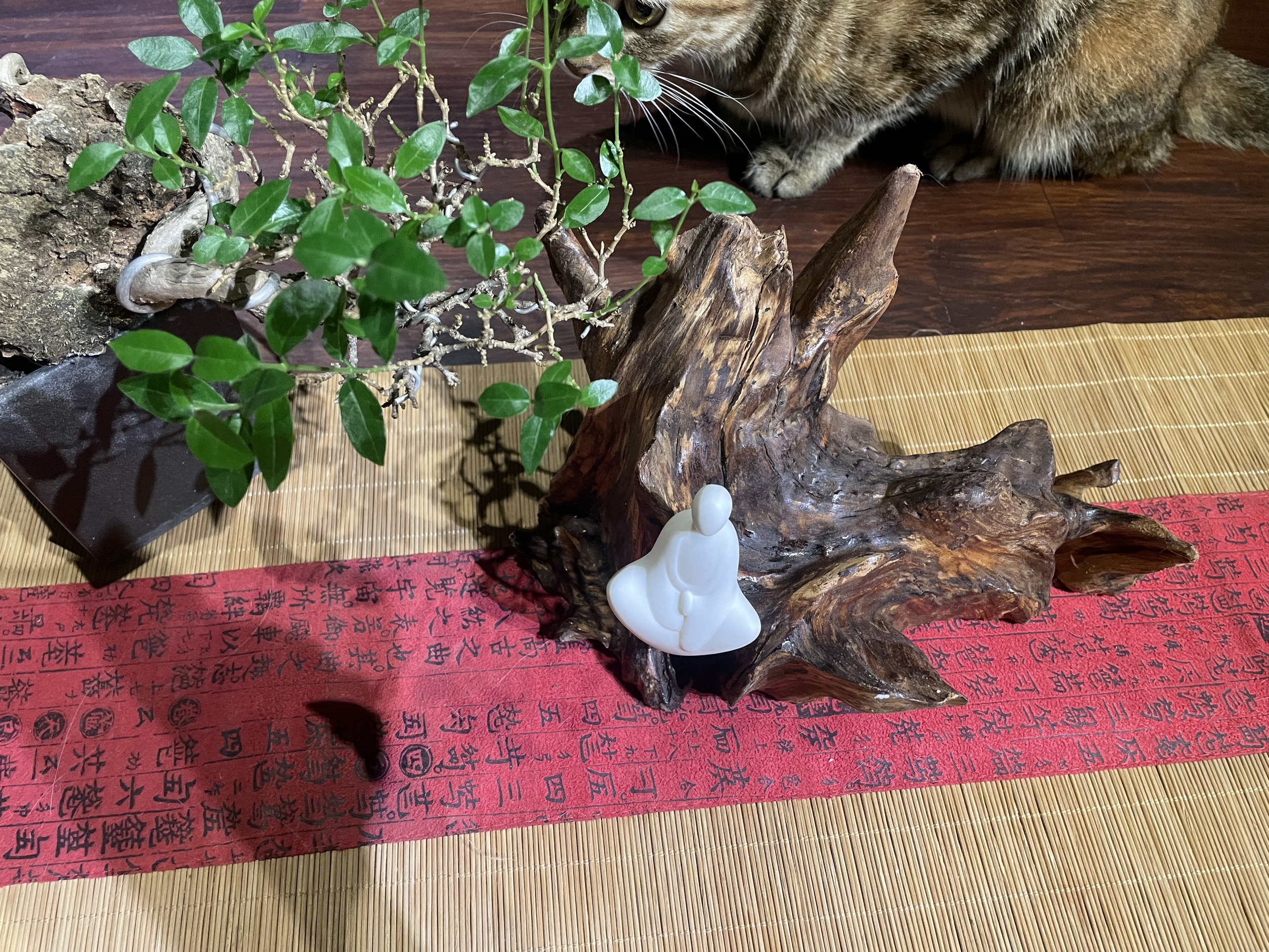 Đôn Gỗ Tự Nhiên