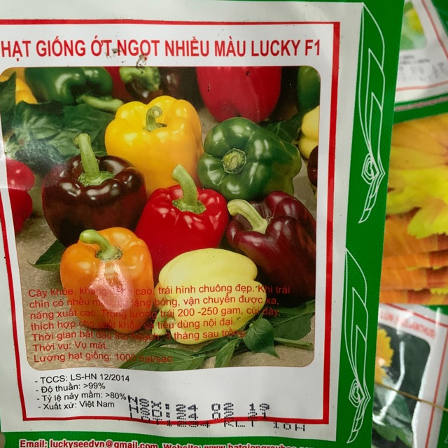 Hạt Giống Ớt Ngọt Nhiều Mầu Lucky