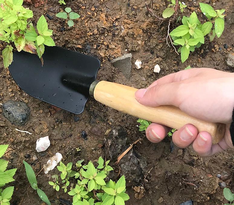 Bộ dụng cụ làm vườn 3 món cán gỗ LV12