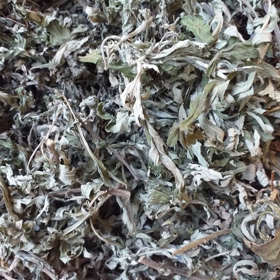 Ngải cứu khô sạch, mới