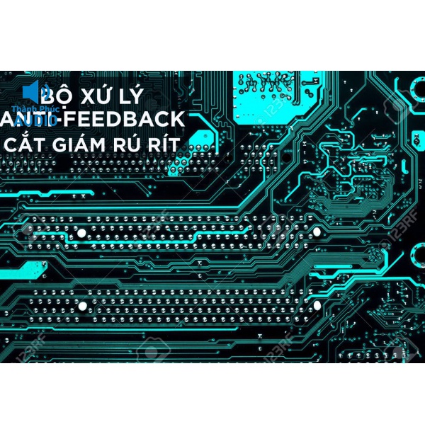Amply Jarguar 506N Gold Nhật Hoàng