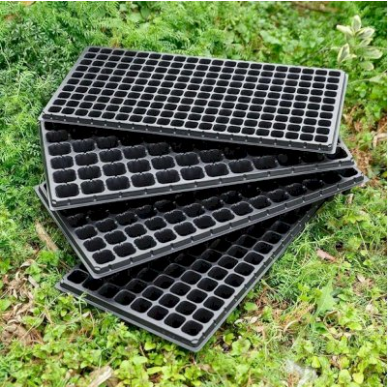 Khay nhựa ươm cây, khay ươm hạt giống, khay gieo hạt 72 lỗ - sthg