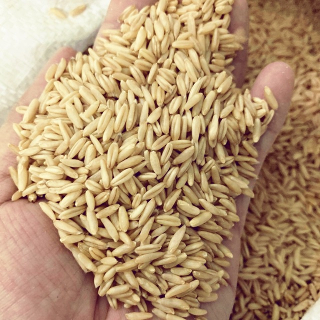  500G YẾN MẠCH HỮU CƠ (ĐÃ TÁCH VỎ) 