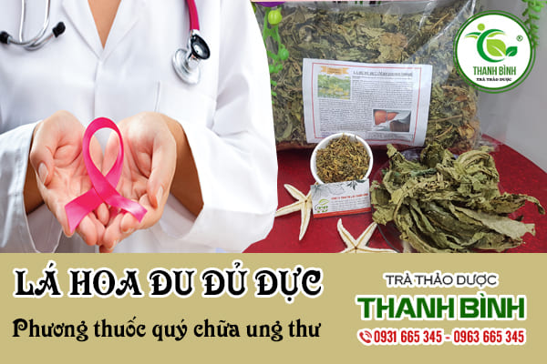 Lá Đu Đủ Đực 1KG Khô - Dược Liệu Thanh Bình