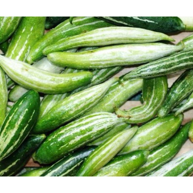 Hạt Giống Quả Lặc Lày (Lặc lè) 2g (Hàng Loại 1)