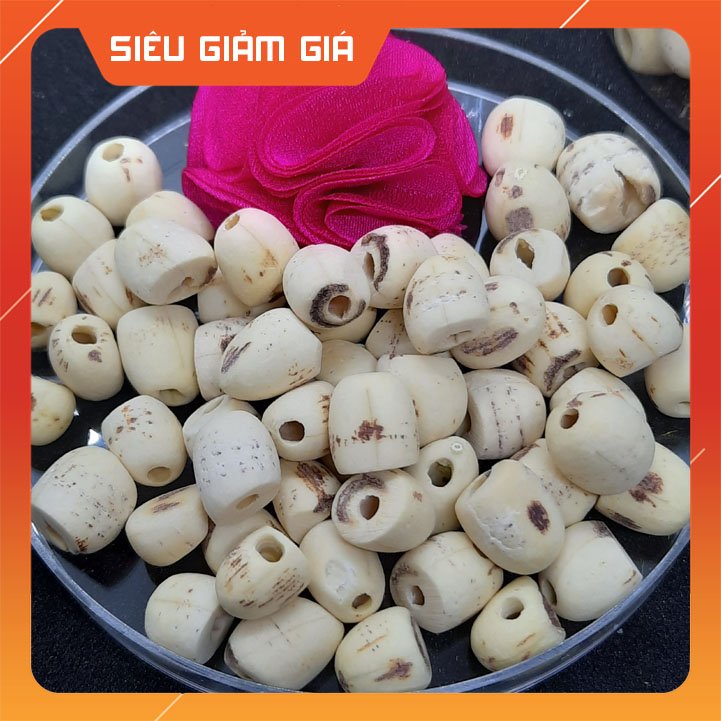 Hạt sen khô loại đặc biệt 100g