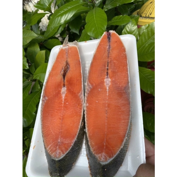 Cá hồi cắt khúc 1kg