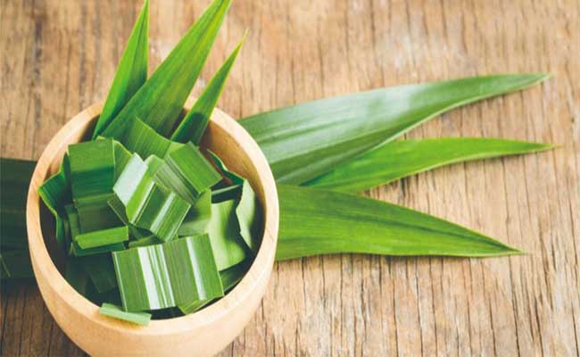 Lá dứa sấy khô - túi 100g