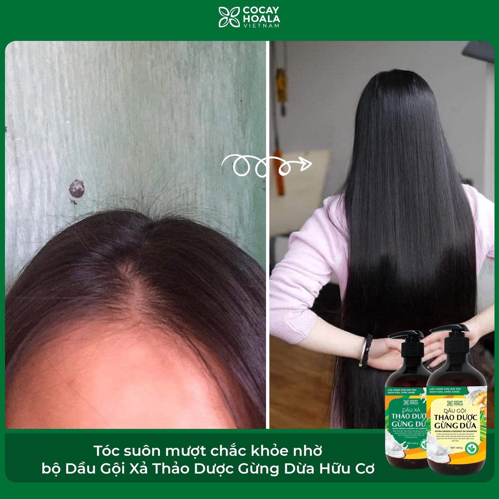 Dầu gội -  xả thảo dược Gừng Dừa