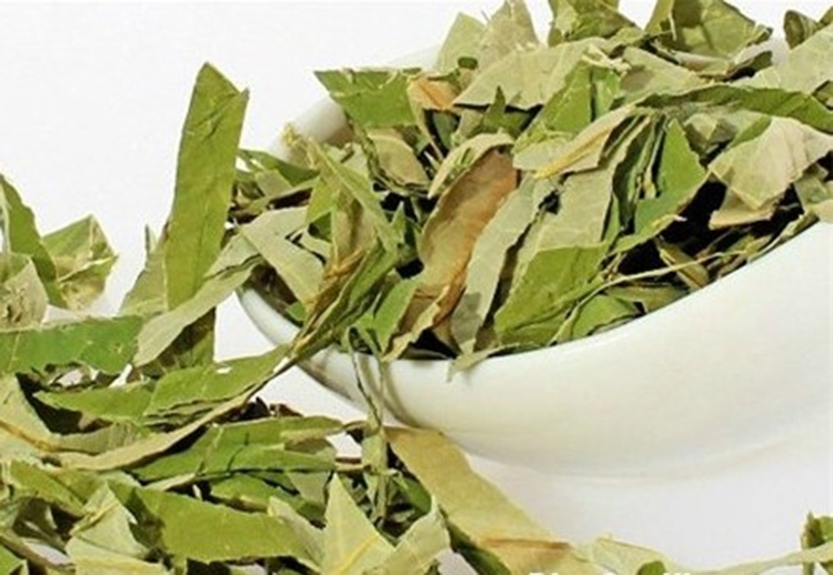 [HCM]1kg Lá vối nếp khô cao cấp