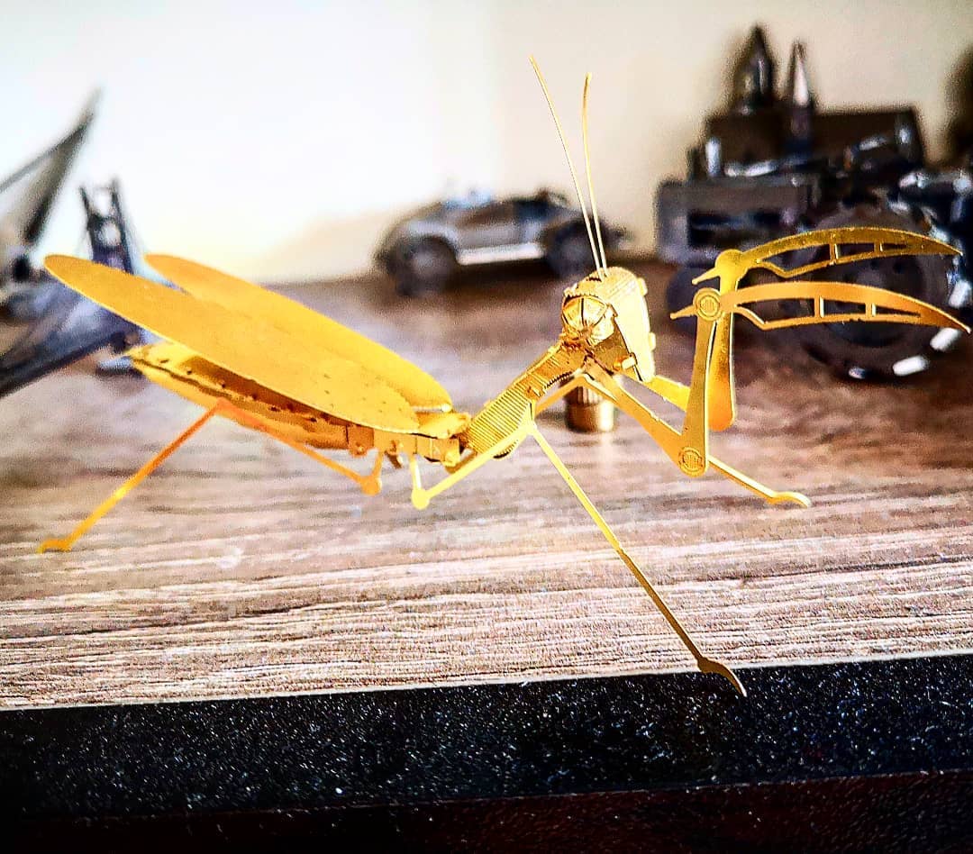 Mô Hình 3D Kim Loại Lắp Ráp Bọ Ngựa [Chưa Lắp]