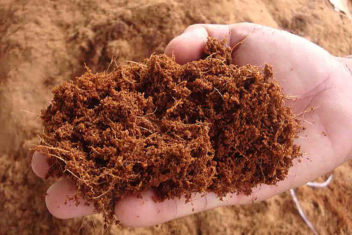 Mụn Xơ Dừa Trồng Cây Gói 5dm
