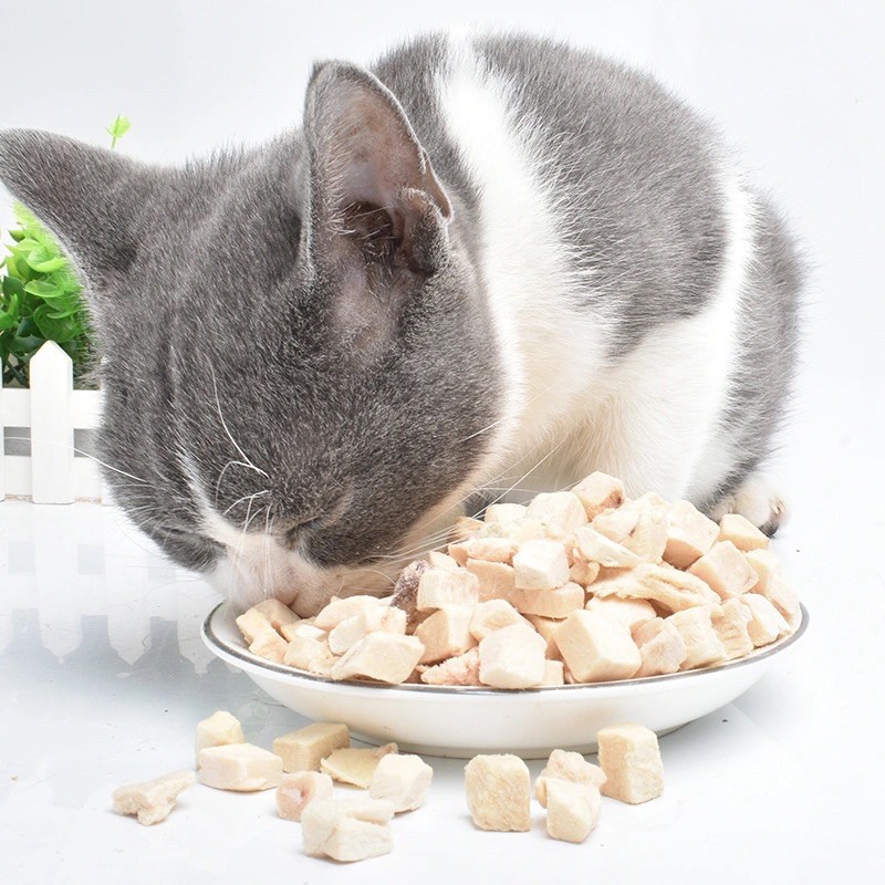 Thịt gà sấy viên 50gr cho hamster, mèo, chó