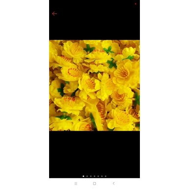 sỉ 1kg hoa đào rời