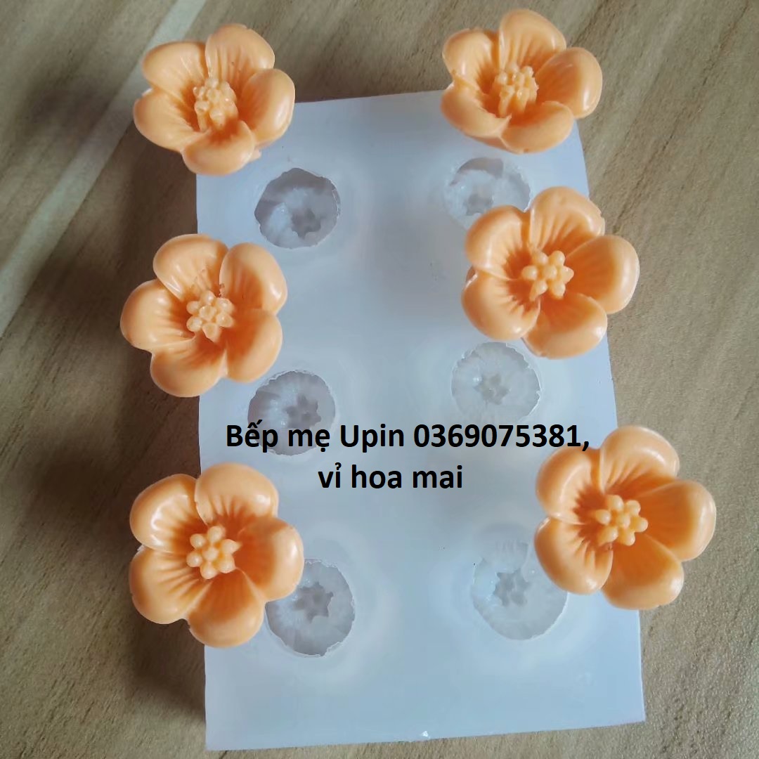 Khuôn silicon 4d hoa mai làm thạch rau câu