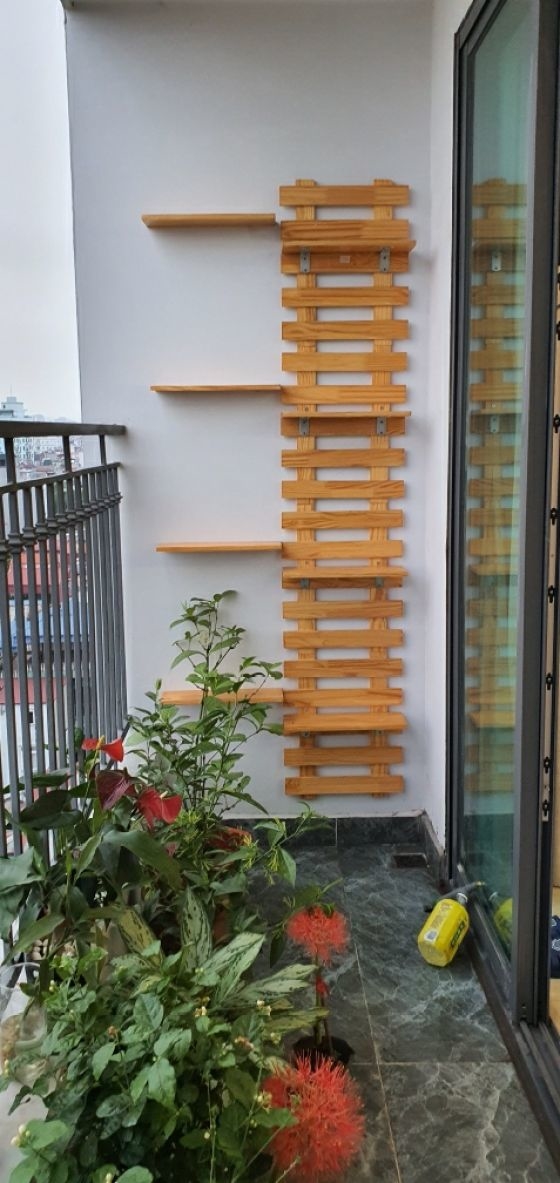 COMBO KHUNG, KỆ GỖ TRANG TRÍ BAN CÔNG ĐỦ PHỤ KIỆN