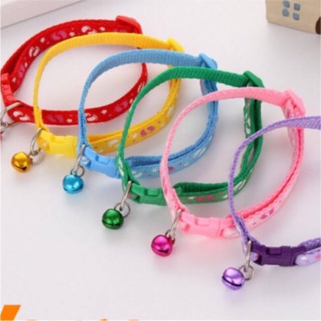 [HCM]Vòng cổ cho chó mèo (1 cái)