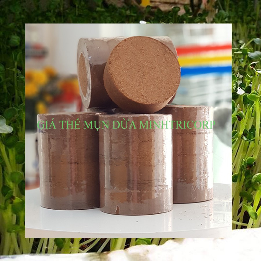 [HCM]BLOCK GIÁ THỂ MỤN DỪA 4 VIÊN