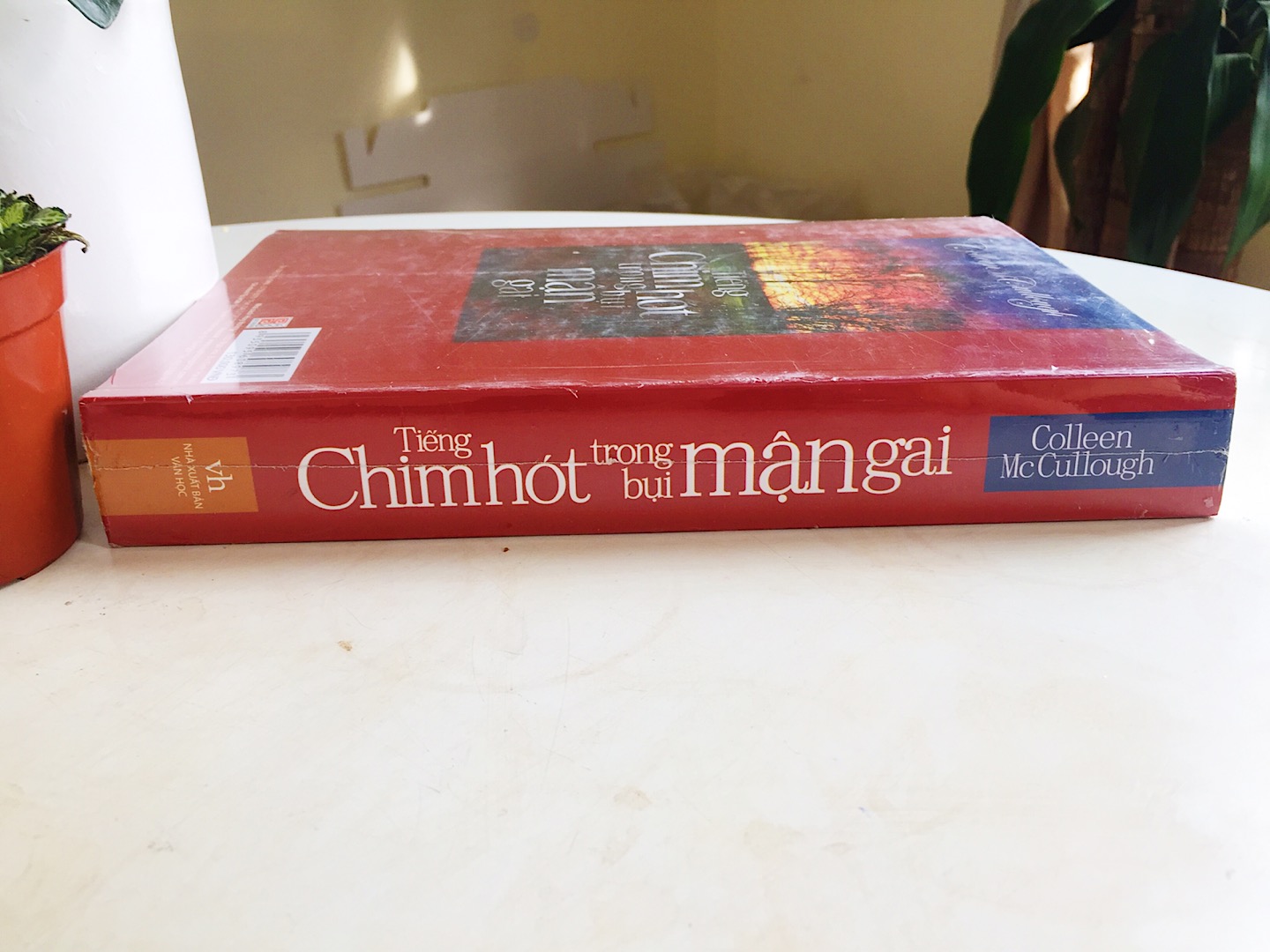 Tiếng Chim Hót Trong Bụi Mận Gai