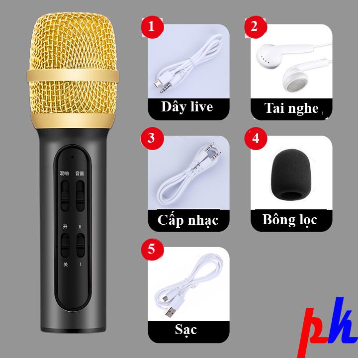 Micro karaoke live stream C11