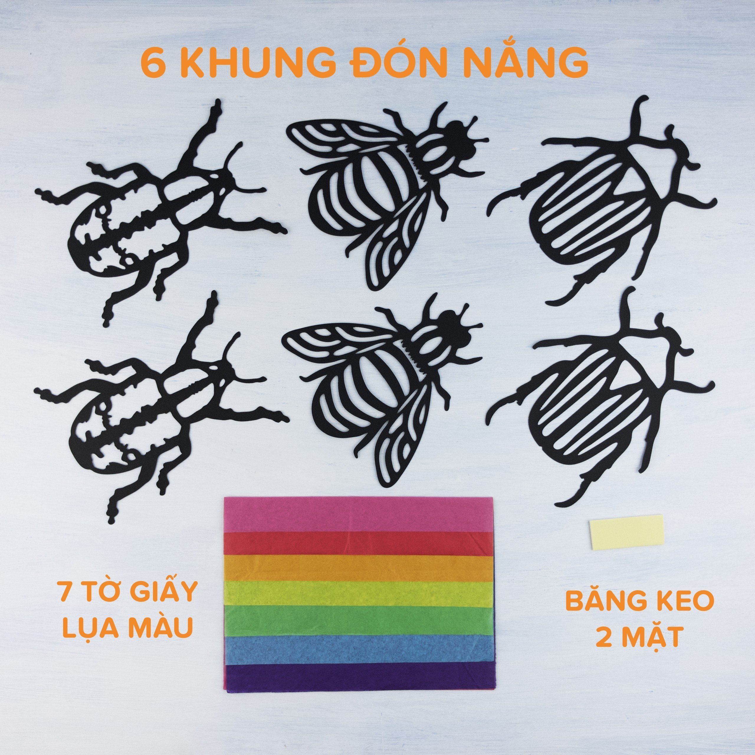 Bộ Thủ Công 6 Bọ Cánh Cứng Đón Nắng Tedu