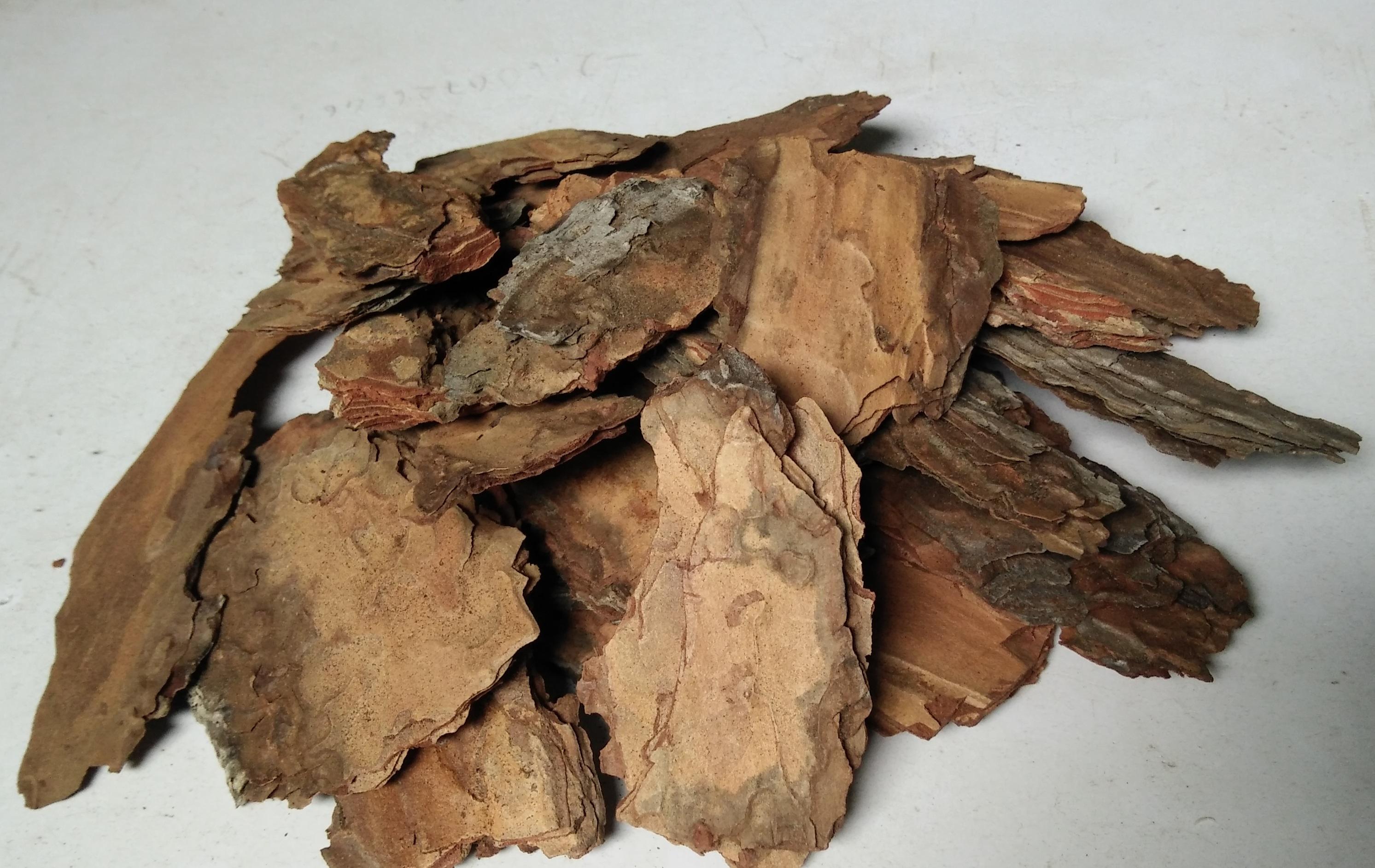 Vỏ thông đỏ đã mài cạnh 1kg