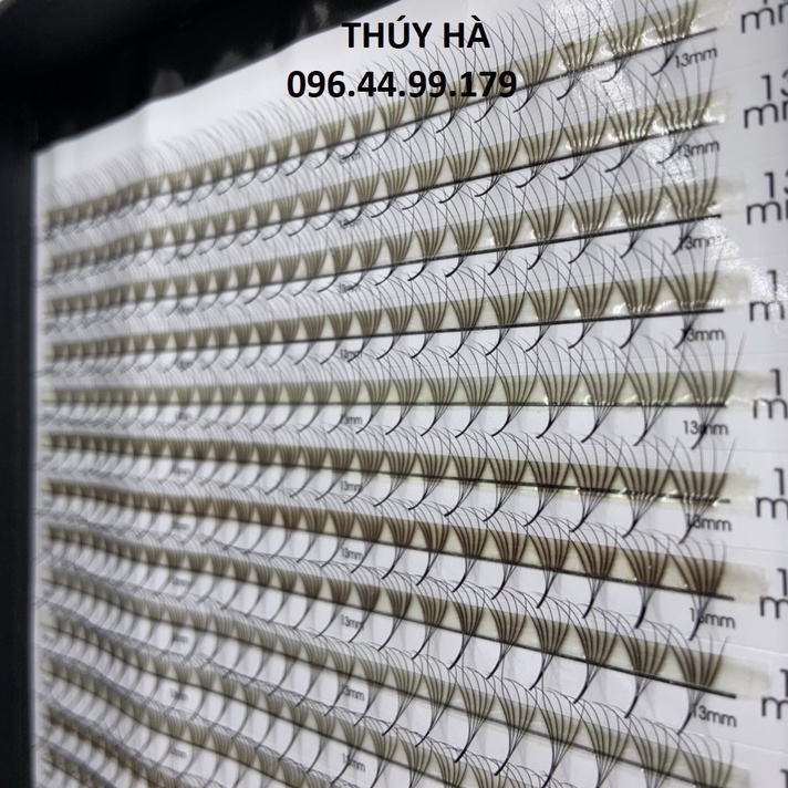Mi fan dây 6d hộp 40 dây 1000 fan cong c-d_dụng cụ nối mi_thúy hà