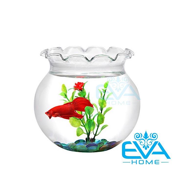[HCM]Hồ Cá Bể Cá Miệng Bèo Thuỷ Tinh B1 13 x 14 Cm Tặng Kèm Sỏi Và Rong Trang Trí