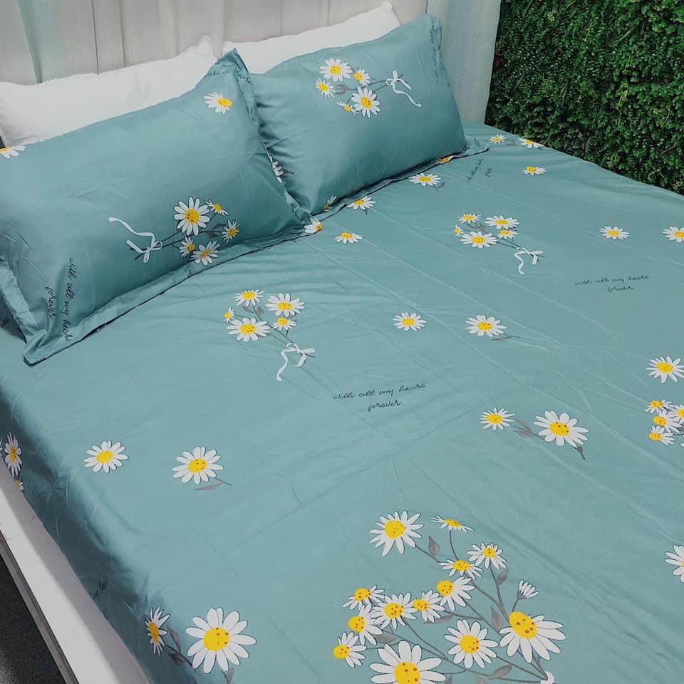 Bộ Ga Gối Cotton Poly - Cúc Hoạ Mi