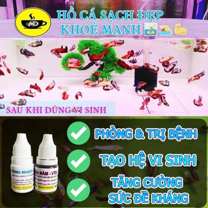Cám BECO 2 - Thức ăn cho cá lớn 🐠 BETTA COFFY  FARM FARM