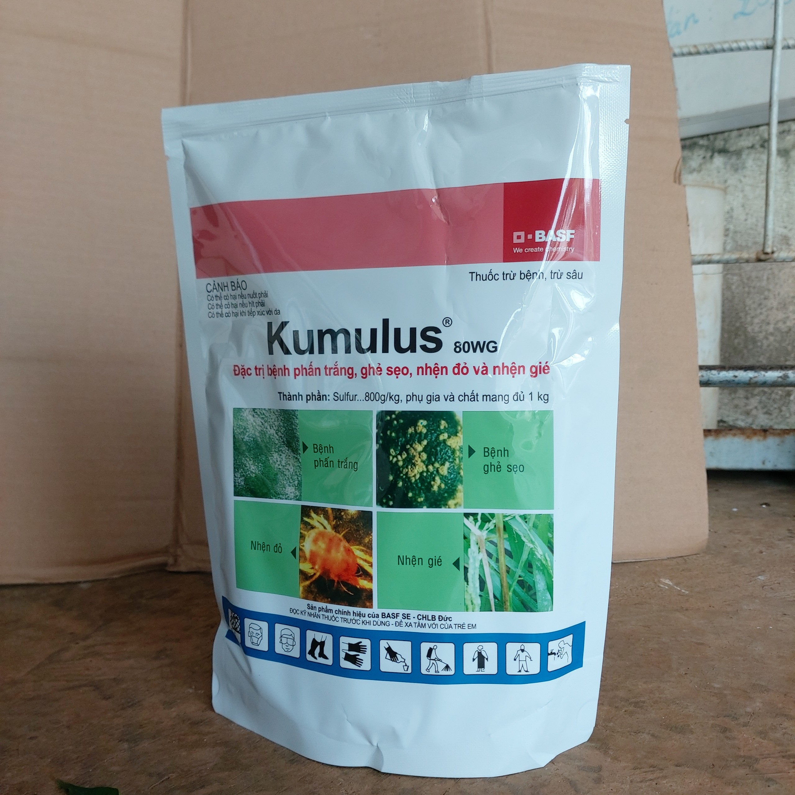 Thuốc trừ bệnh phấn trắng cho xoài – Kumulus 80wg