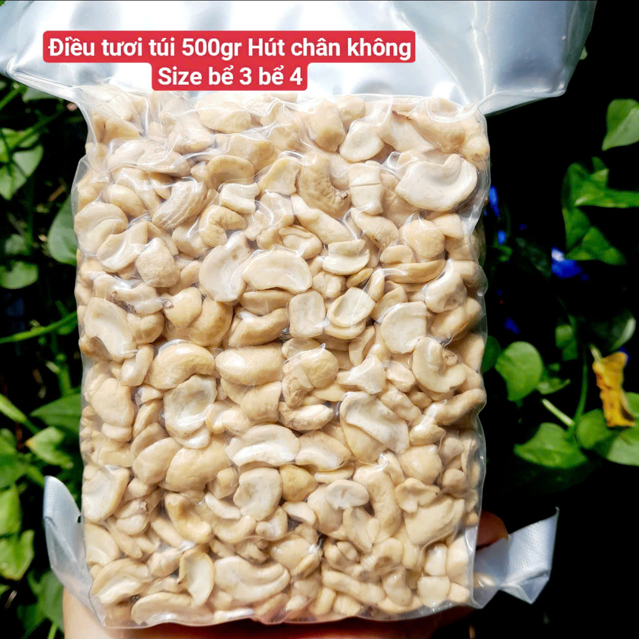 500gr fresh cashew milk-cooking cashew (raw cashew Kerrs)
