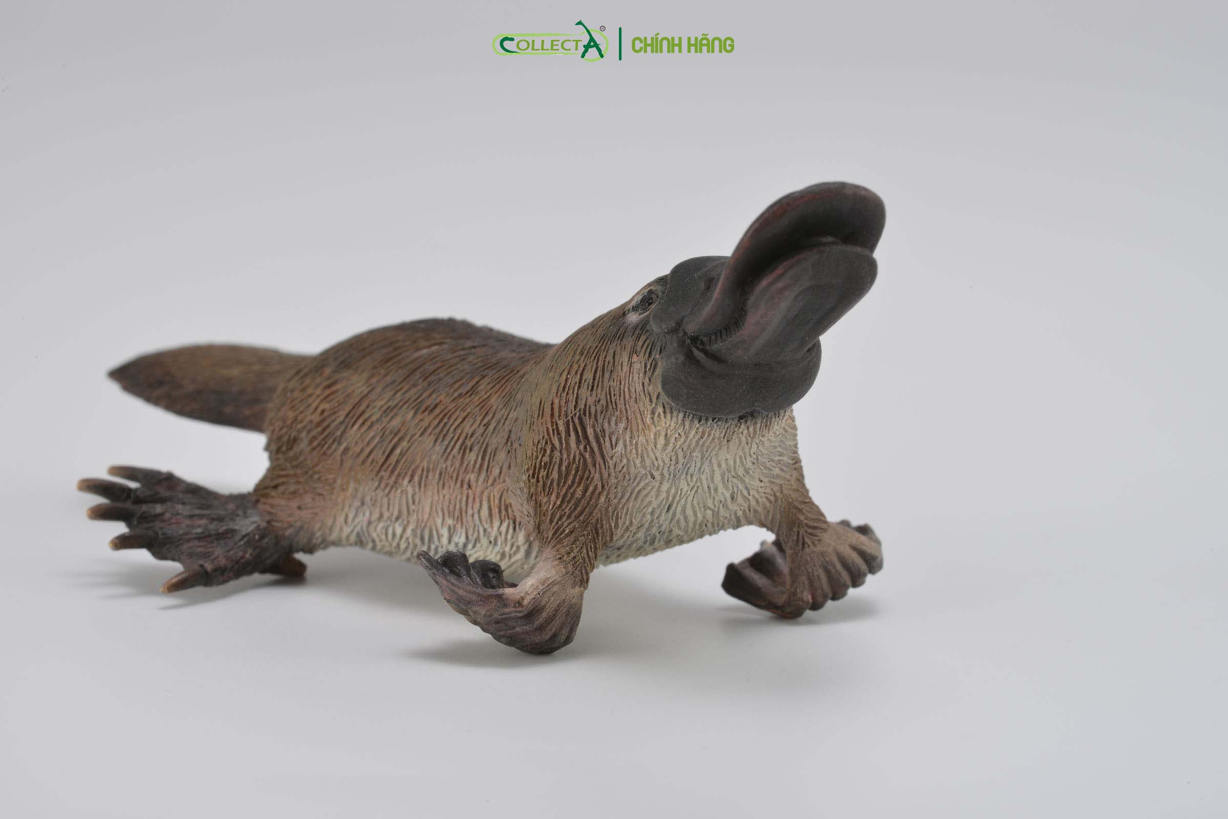 Đồ chơi mô hình động vật CollectA Thú Mỏ Vịt - Platypus