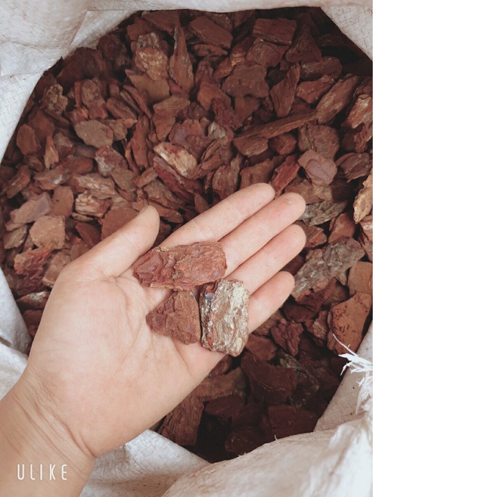 5kg VỎ THÔNG ĐỎ QUẢNG BÌNH ( #phanbon, #vattu, #caycanh)