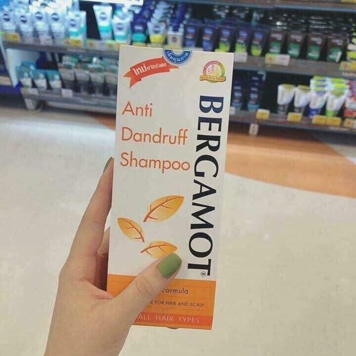 [HCM]DẦU GỘI TRỊ GÀU BERGAMOT