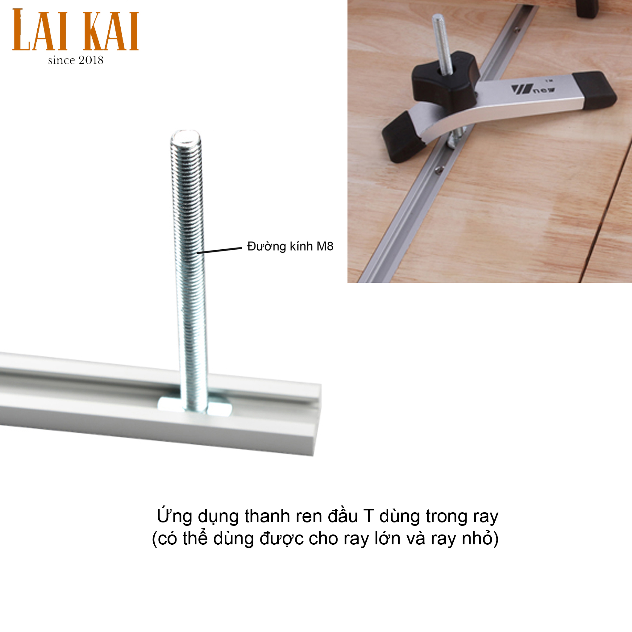 [HCM]Thanh ren đầu T dùng cho ray