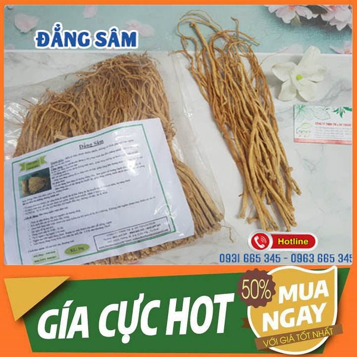 Đẳng Sâm 100g Hàng CTy - Thảo Dược Thanh Bình