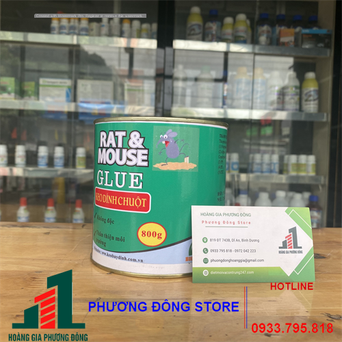 Keo dính chuột Bio glue - Hộp 800g