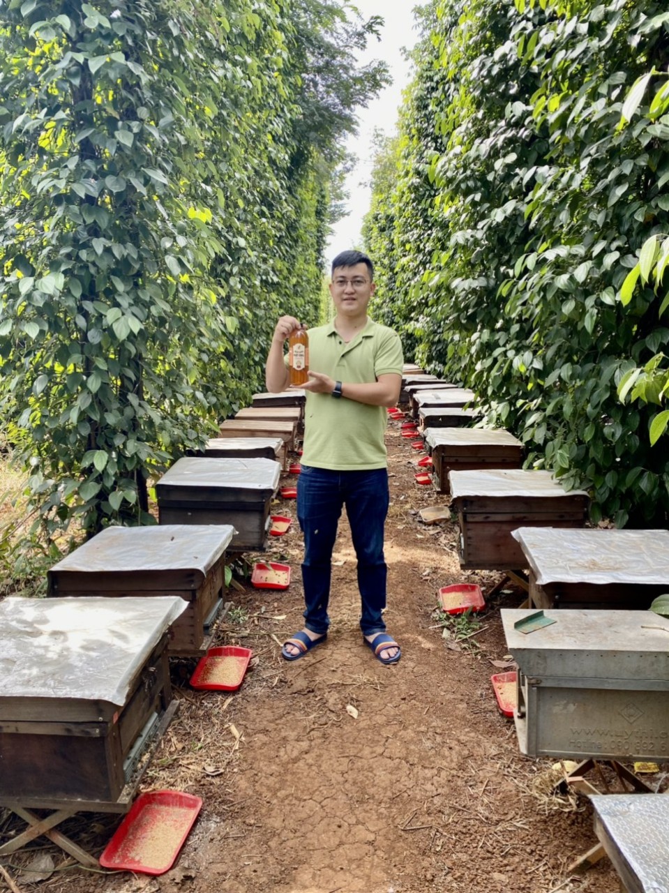 1 lít mật ong nguyên chất hoa cỏ kim