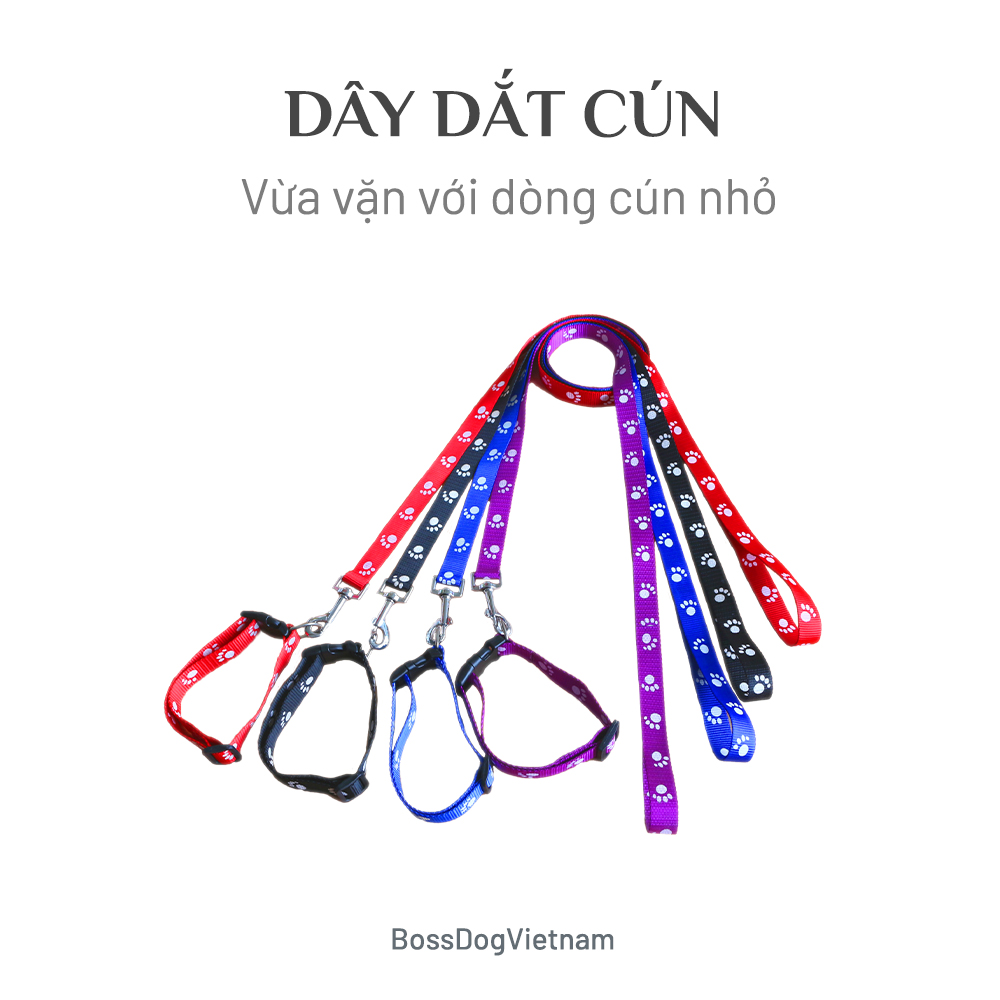 Dây dắt thú cưng cơ bản (Màu ngẫu nhiên) | BossDog