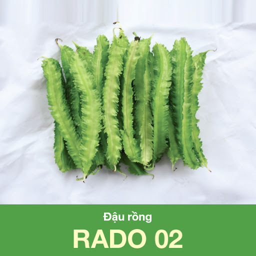 Hạt giống đậu rồng thái sai trái, đặc ruột - 20gram