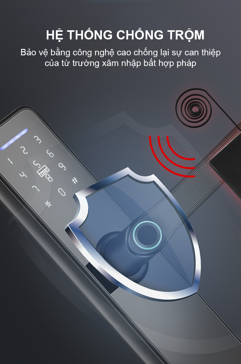 Khóa vân tay Smart Lockdoor Homesheel L1