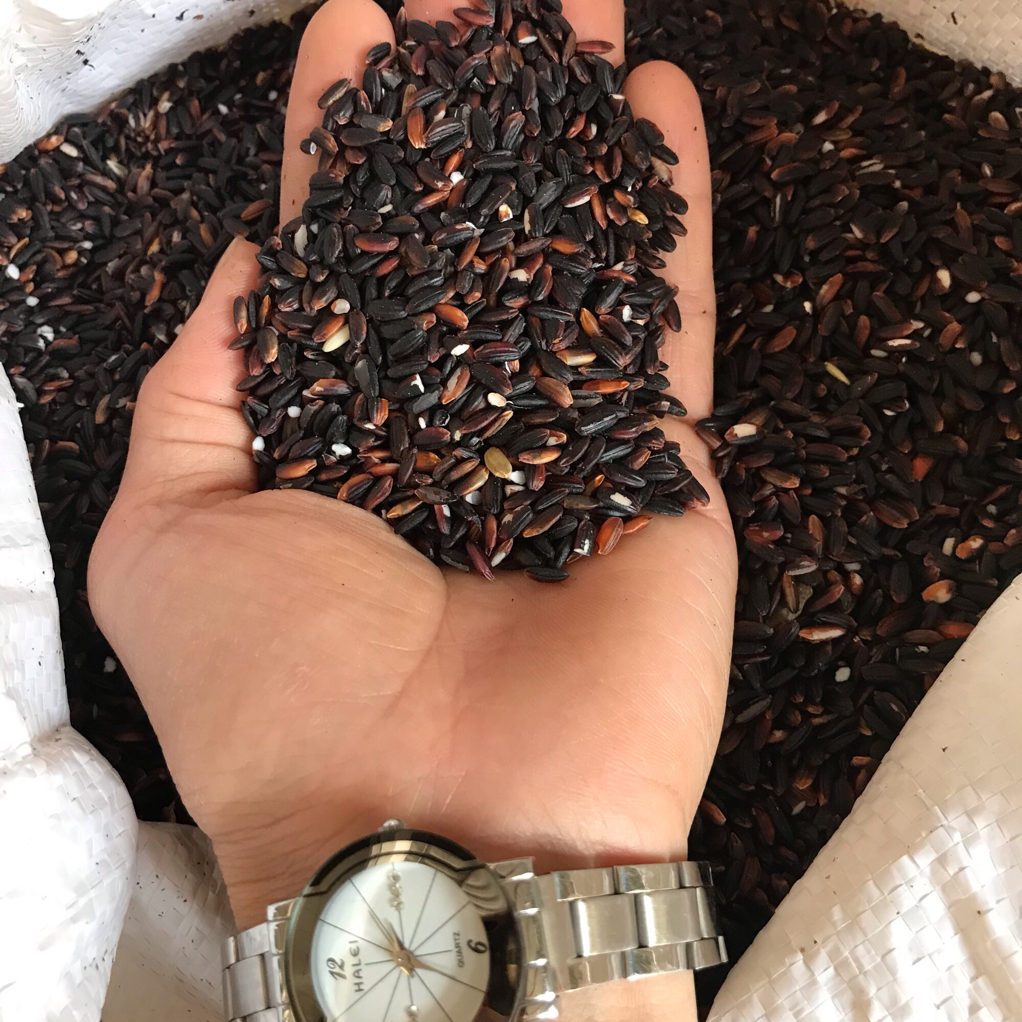 Gạo cẩm nếp nương biên (5kg)