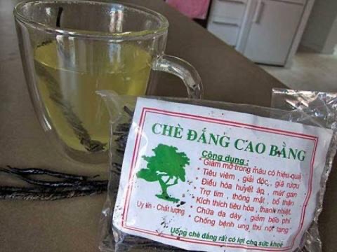 Trà đắng cao bằng