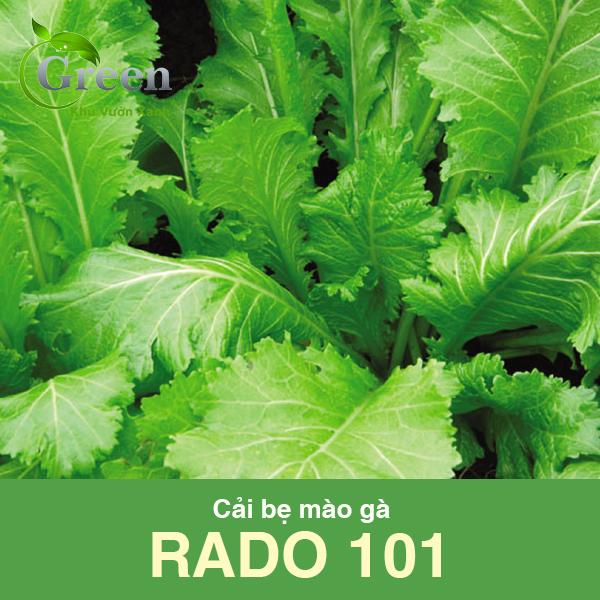 Hạt Giống Cải Bẹ Mào Gà Lá To, Sinh Trưởng Mạnh (Gói 20 Gam ~ 2000 hạt)