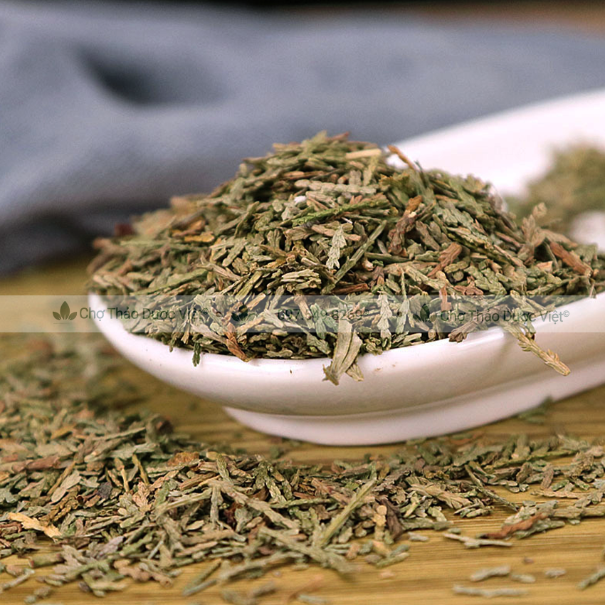 [Giá sỉ] 1kg Trắc Bách Diệp (Khô, xanh, sạch)