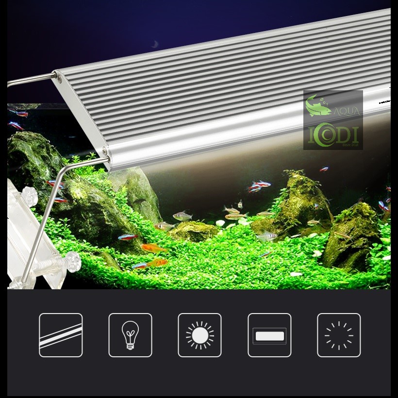 Đèn bể cá ODYSSEA SLIM X900