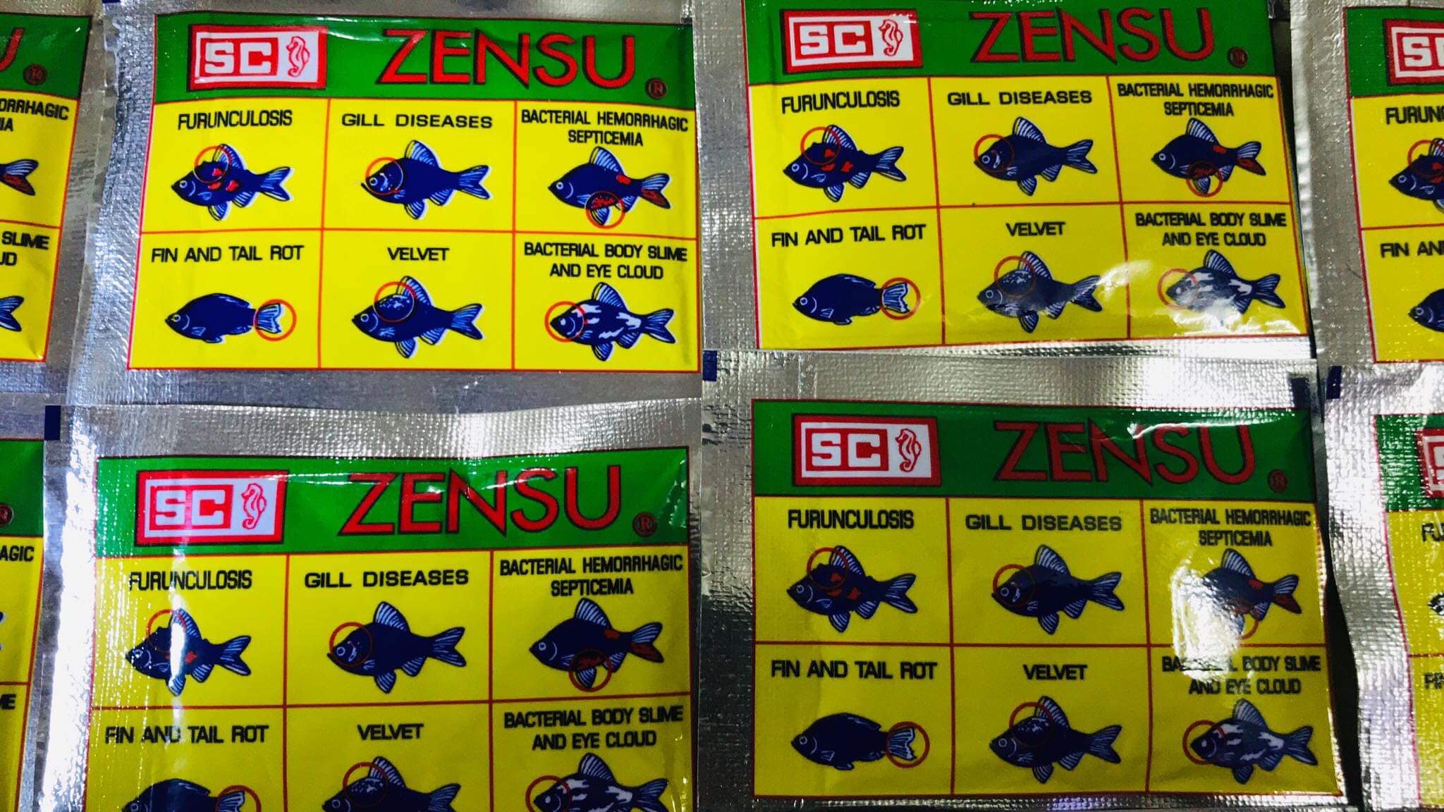 [HCM]BỘT ZENSU - DƯỠNG  CHO CÁ BETTA - Thần dược cho Betta sung khỏe 5gr